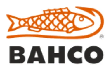 Bacho