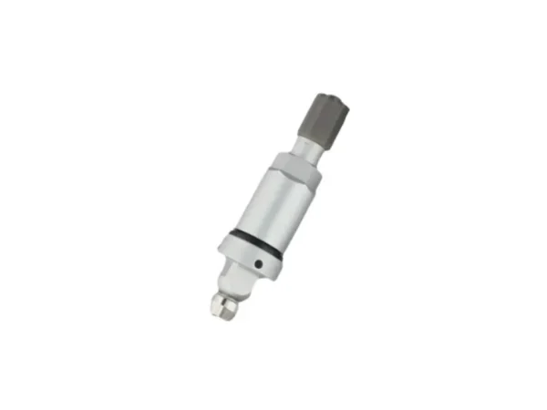 TPMS ventil för Tesla Model 3 S X Y